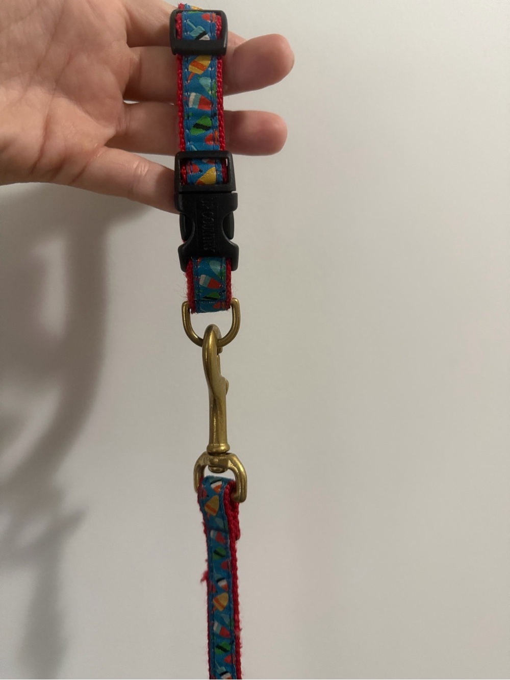 Colorful Patterned Dog Leash with Brass Hardware
